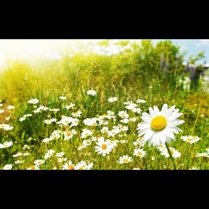 Meet your Posher, Ana